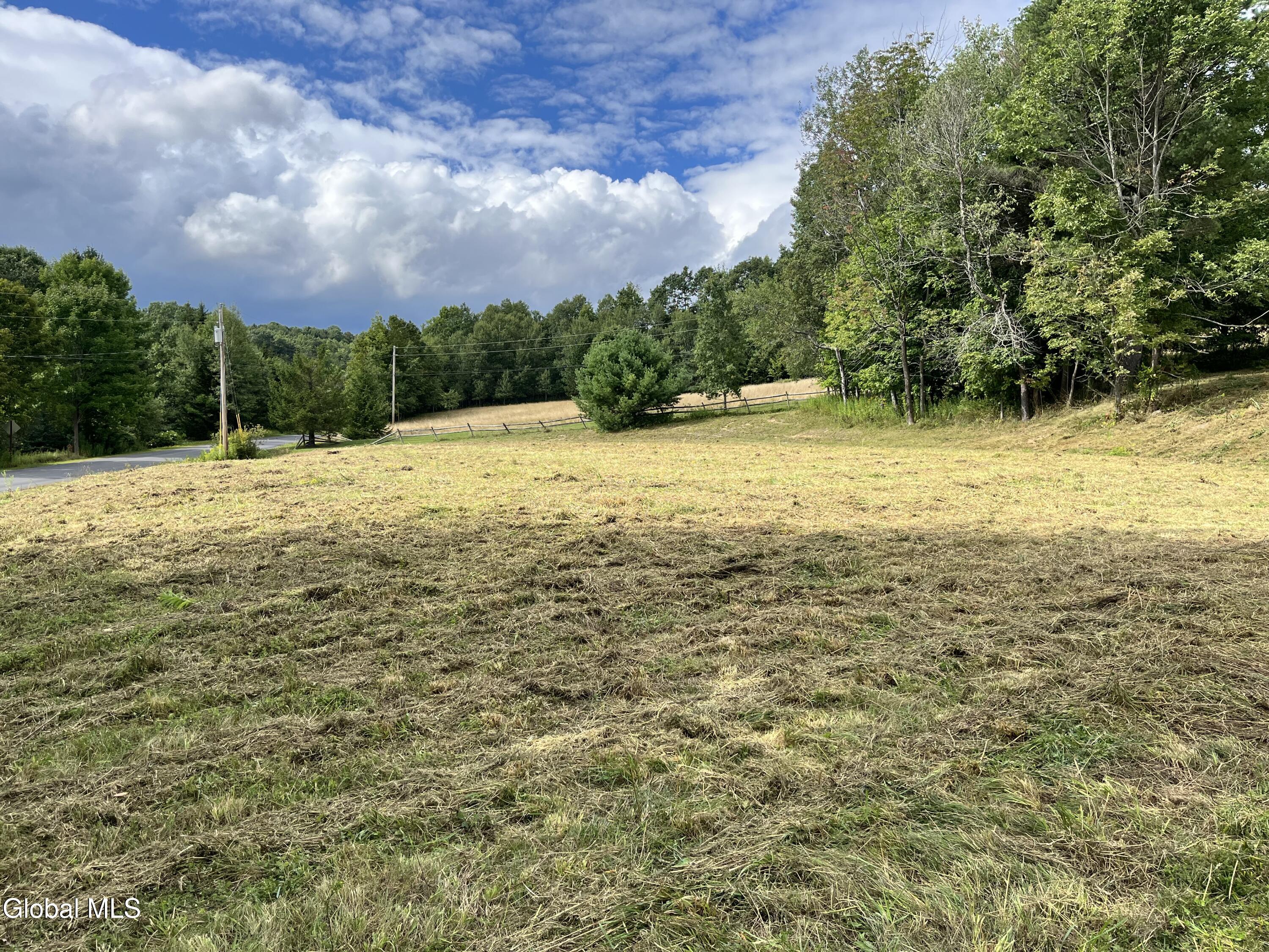 141 Sawyer Hollow Road Summit, NY 12175 - Photo 13 of 28 IMG_2392