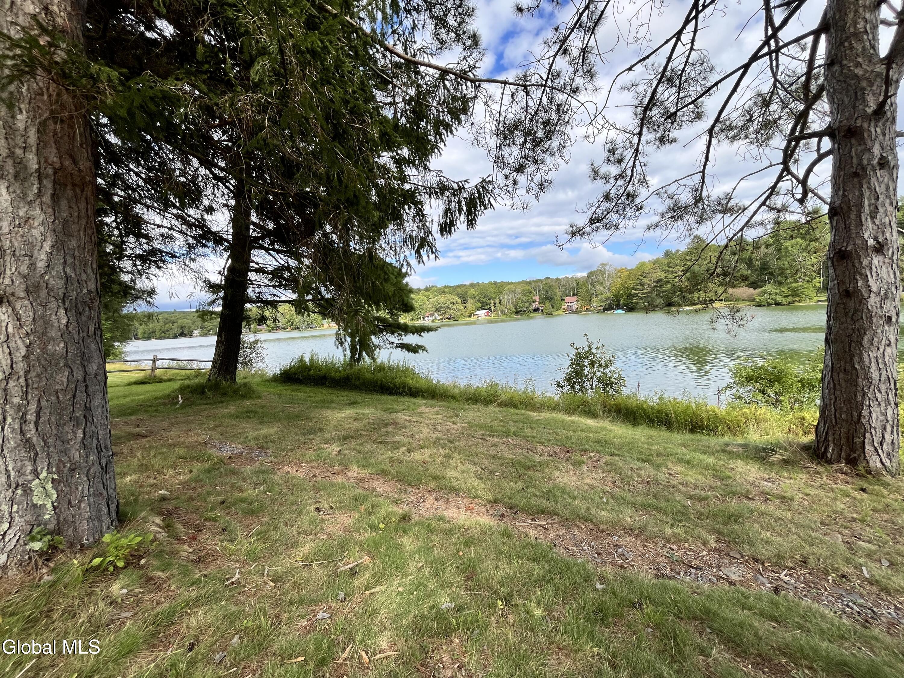 141 Sawyer Hollow Road Summit, NY 12175 - Photo 4 of 28 IMG_2420