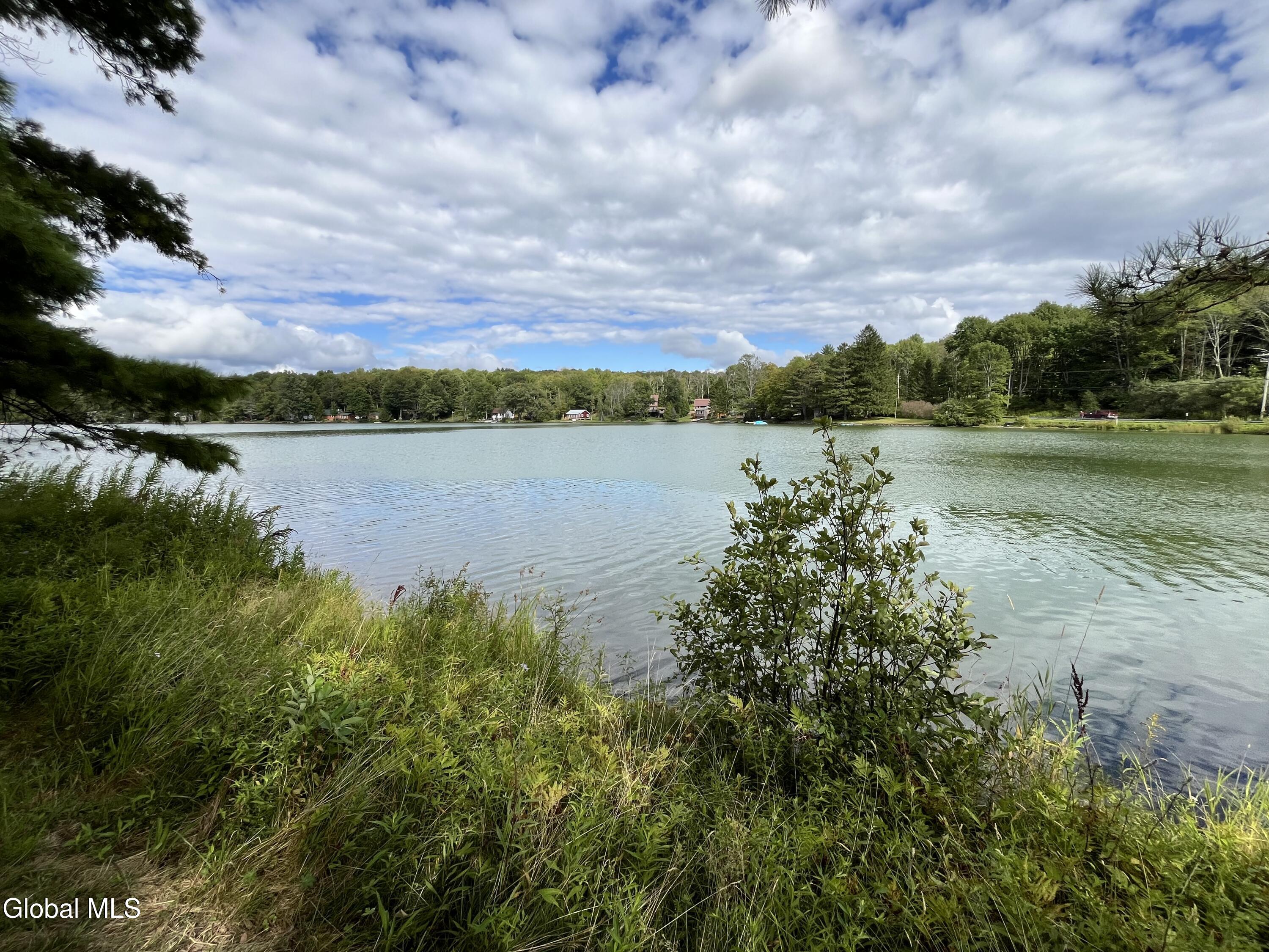 141 Sawyer Hollow Road Summit, NY 12175 - Photo 6 of 28 IMG_2422