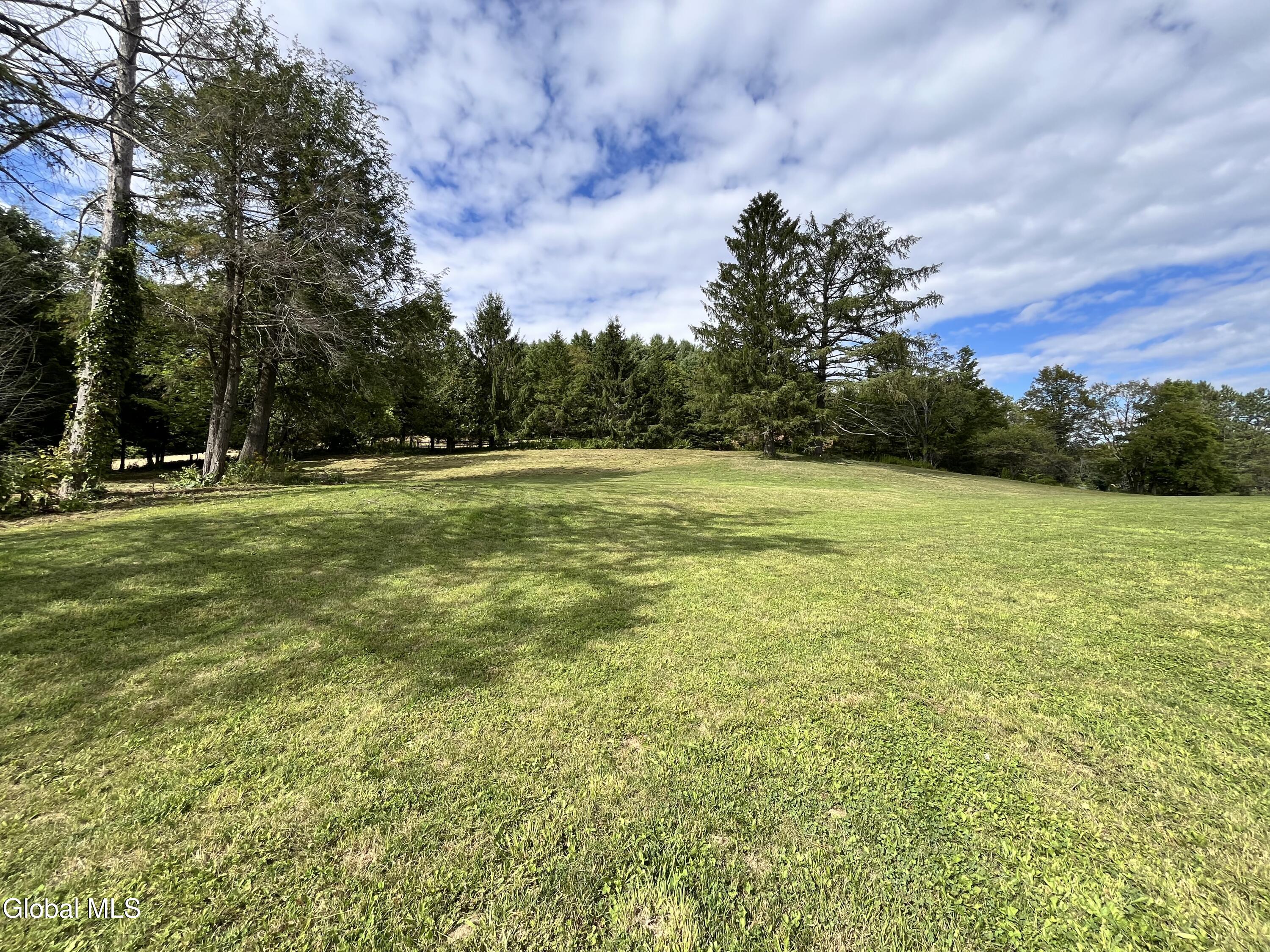 141 Sawyer Hollow Road Summit, NY 12175 - Photo 10 of 28 IMG_2400