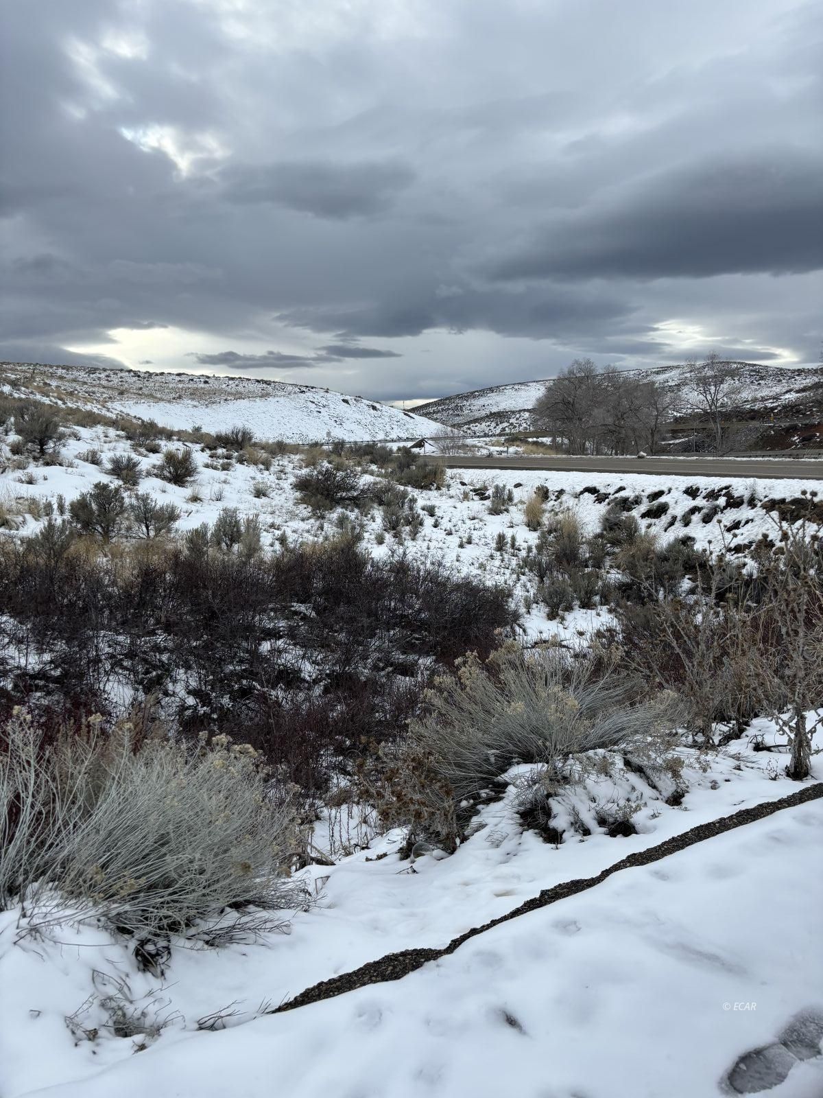 14 Twp 32n Rge 50e Mdb&m Road Crescent Valley, NV 89821 - Photo 5 of 9