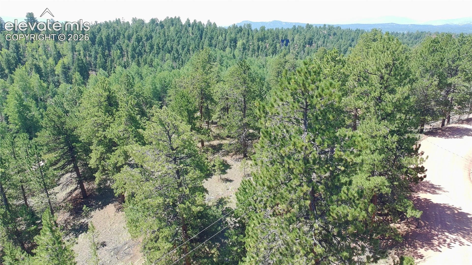 787 Spring Valley Lane Florissant, CO 80816 - Photo 10 of 21 Gallery Image 10