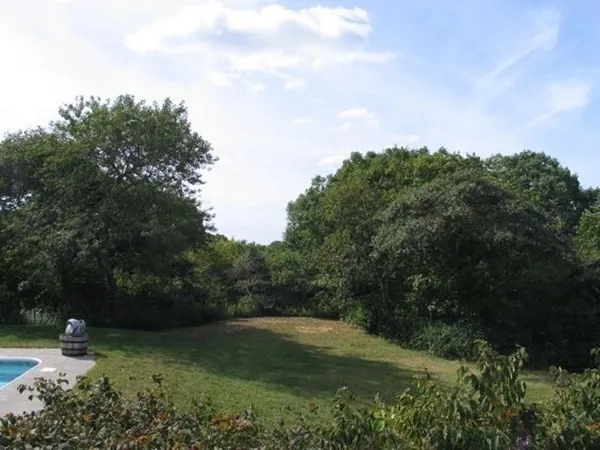 a view of a green field with lots of bushes