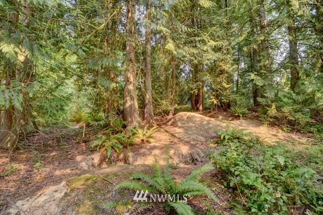 4121 Cooper Point Road Northwest Olympia, WA 98502 - Photo 7 of 15 Gallery Image 7
