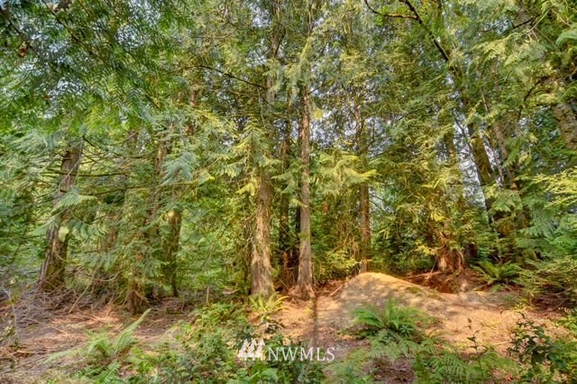 4121 Cooper Point Road Northwest Olympia, WA 98502 - Photo 8 of 15 Gallery Image 8