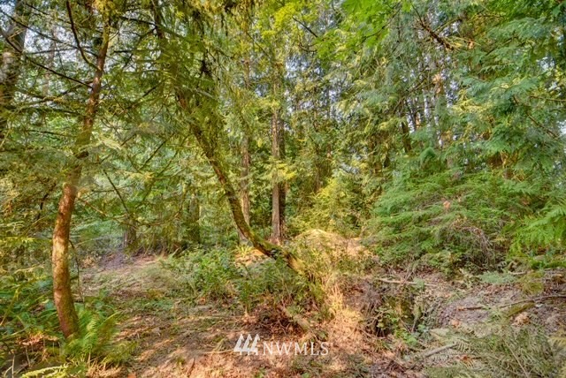 4121 Cooper Point Road Northwest Olympia, WA 98502 - Photo 9 of 15 Gallery Image 9