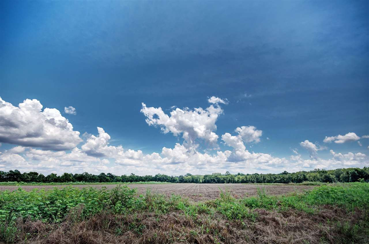 107 Gunter Road Canton, MS 39046 - Photo 1 of 4 Photo 1