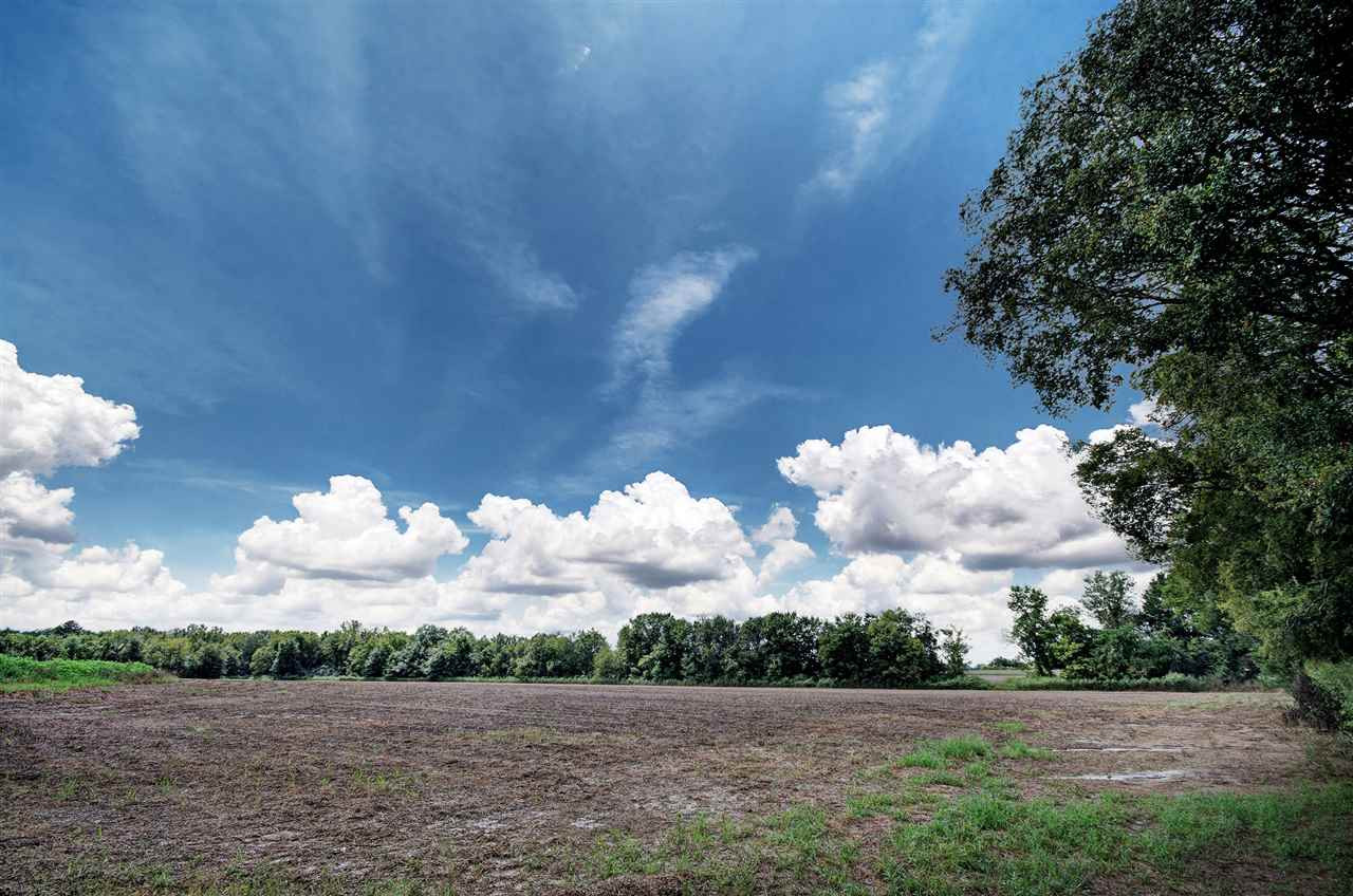 107 Gunter Road Canton, MS 39046 - Photo 3 of 4 Photo 3