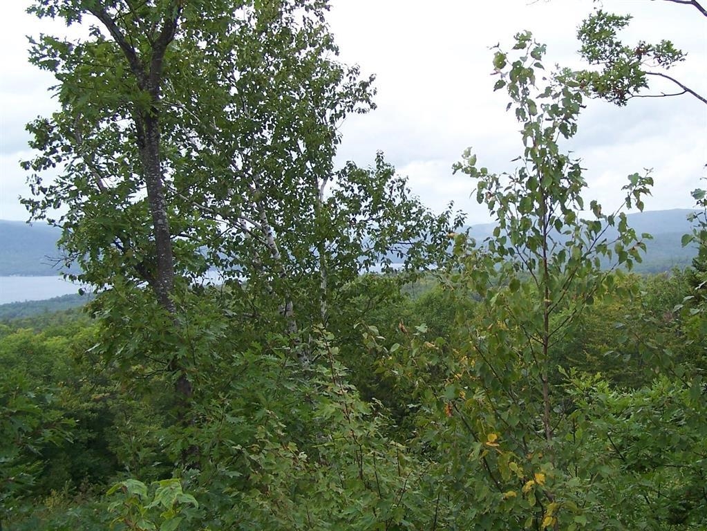 Lot 7 Hall Road Bristol, NH 03222 - Photo 6 of 17 Gallery Image 6