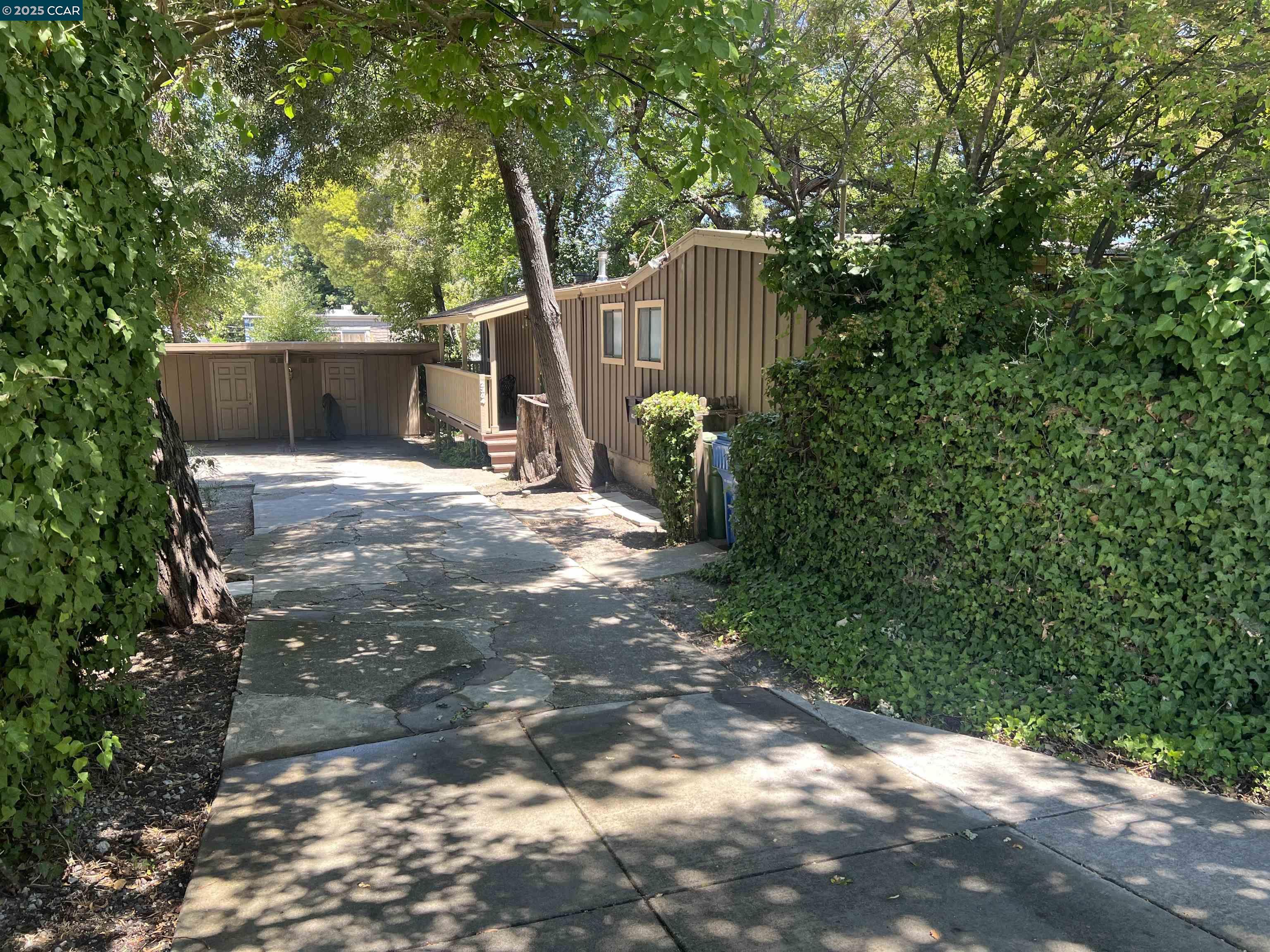 Buena Vista Area Walnut Creek, CA 94597 - Photo 8 of 59