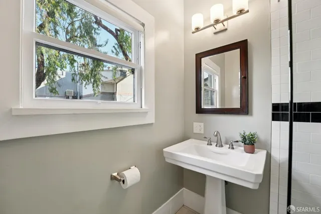 a view of a garden with plants