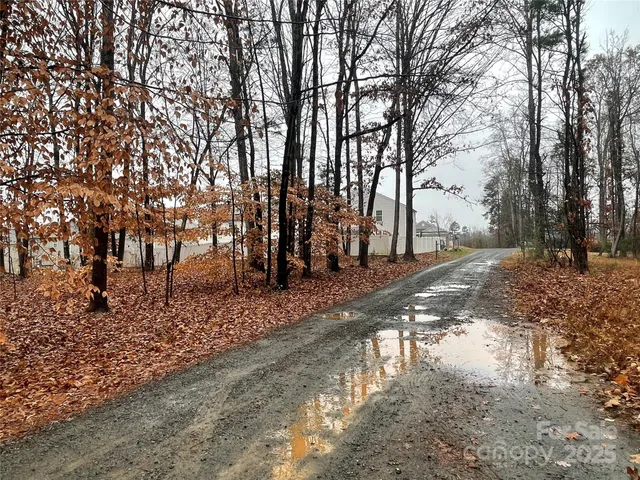 a view of a yard with trees