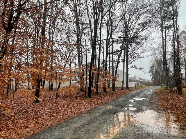a view of a forest with trees