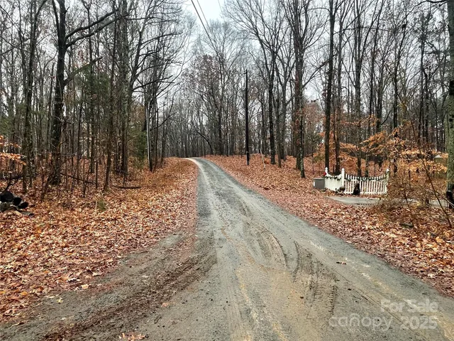 a view of a backyard with large trees