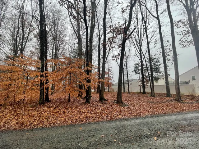 a view of a yard with a tree