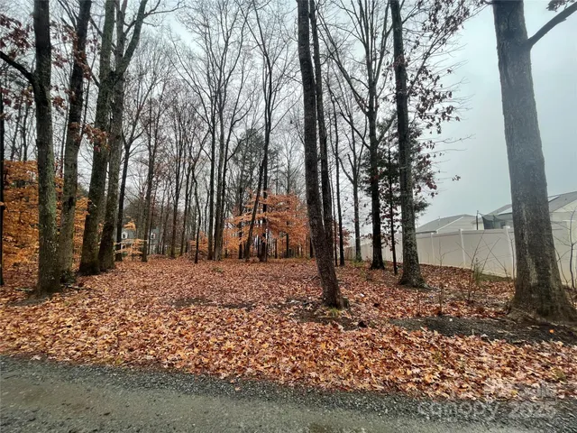 a view of a yard with trees