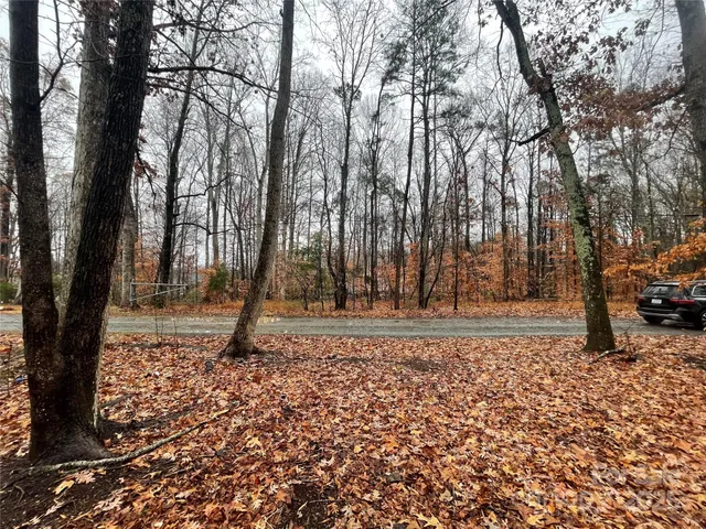 a view of a yard with trees