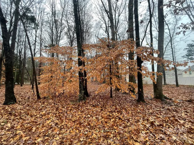 a view of a yard covered with snow