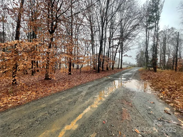 a view of a yard with trees