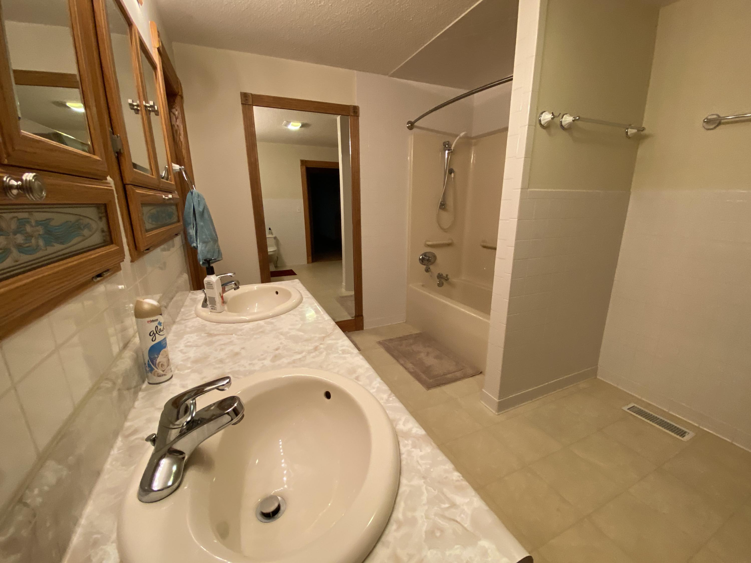 337 Under Pass Road Ewing, VA 24248 - Photo 26 of 33 master bath