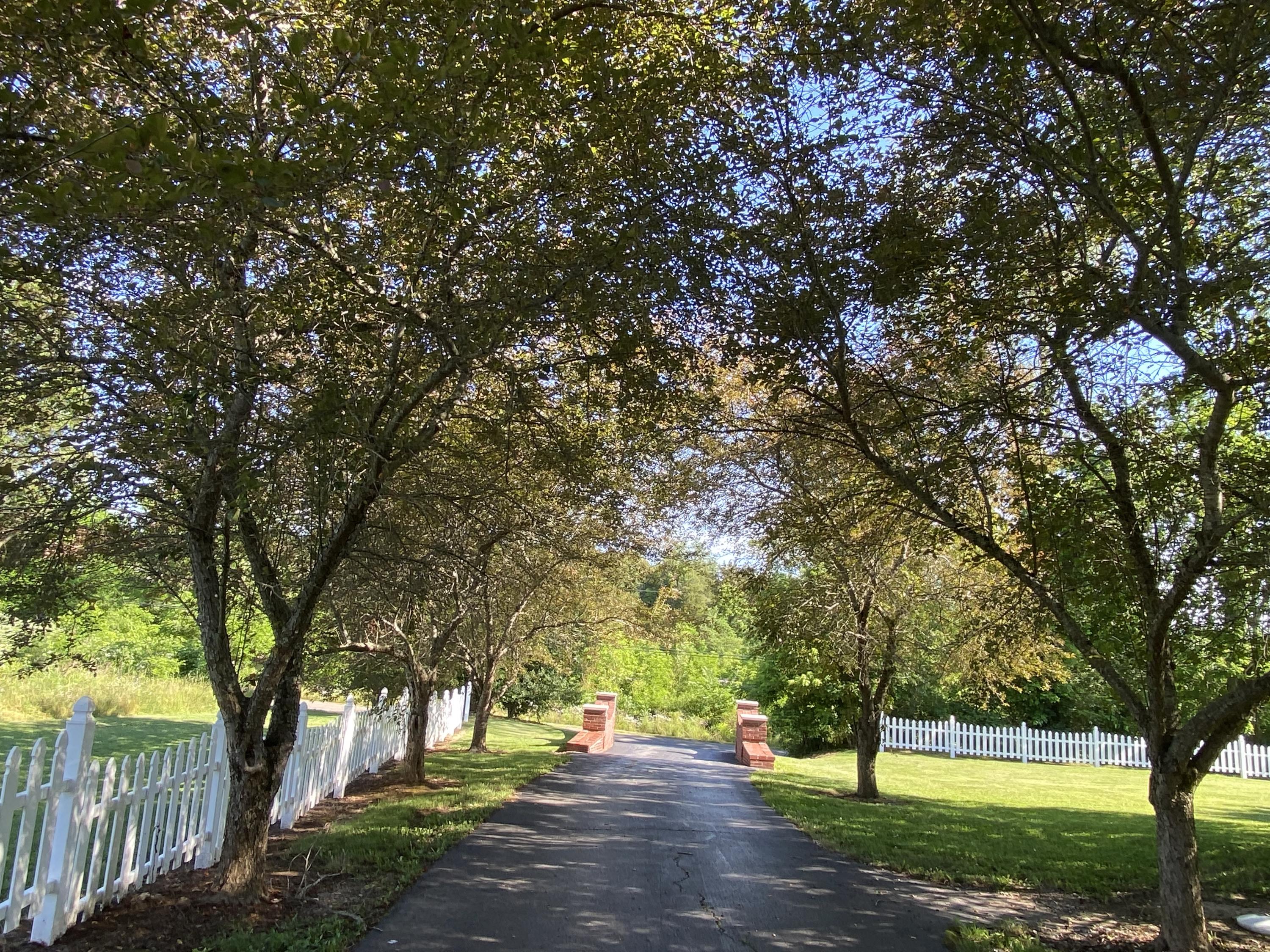 337 Under Pass Road Ewing, VA 24248 - Photo 4 of 33 dreamy driveway