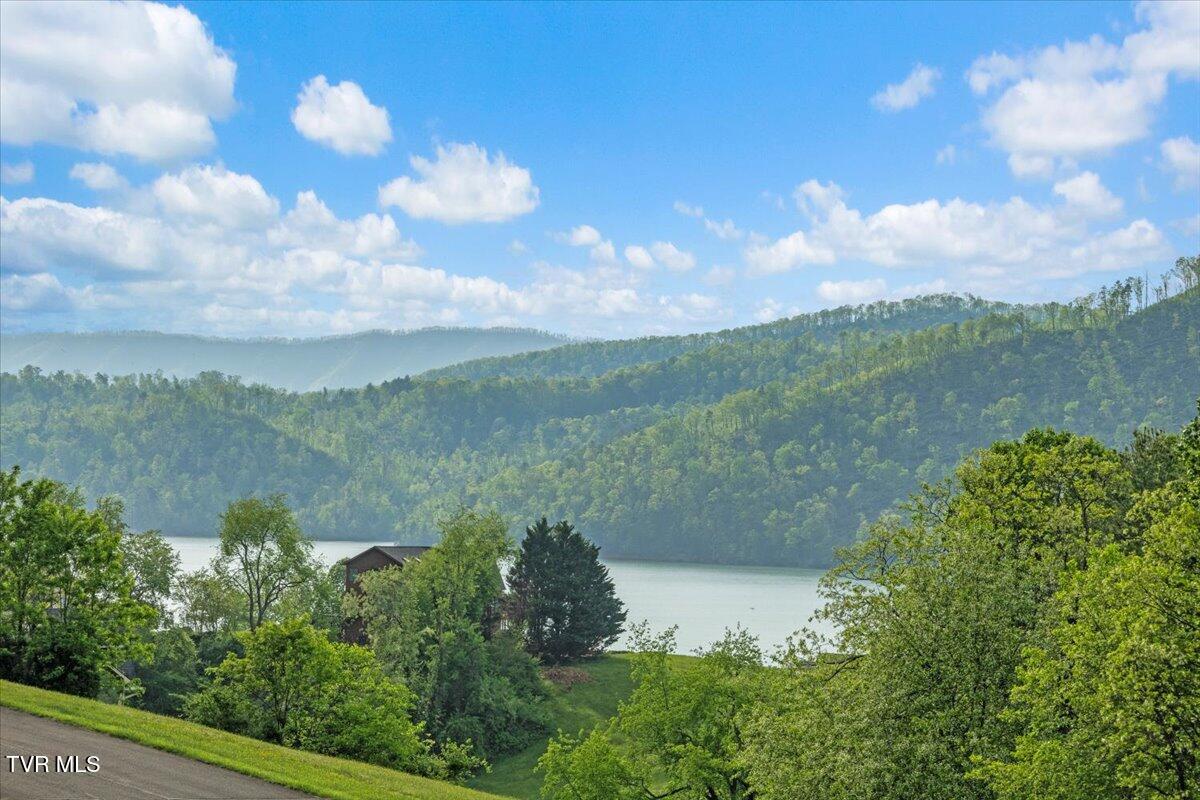 221 Harbor View Road Butler, TN 37640 - Photo 9 of 62 10-128A7134