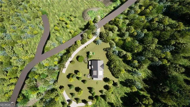 a picture of a tree with a plant