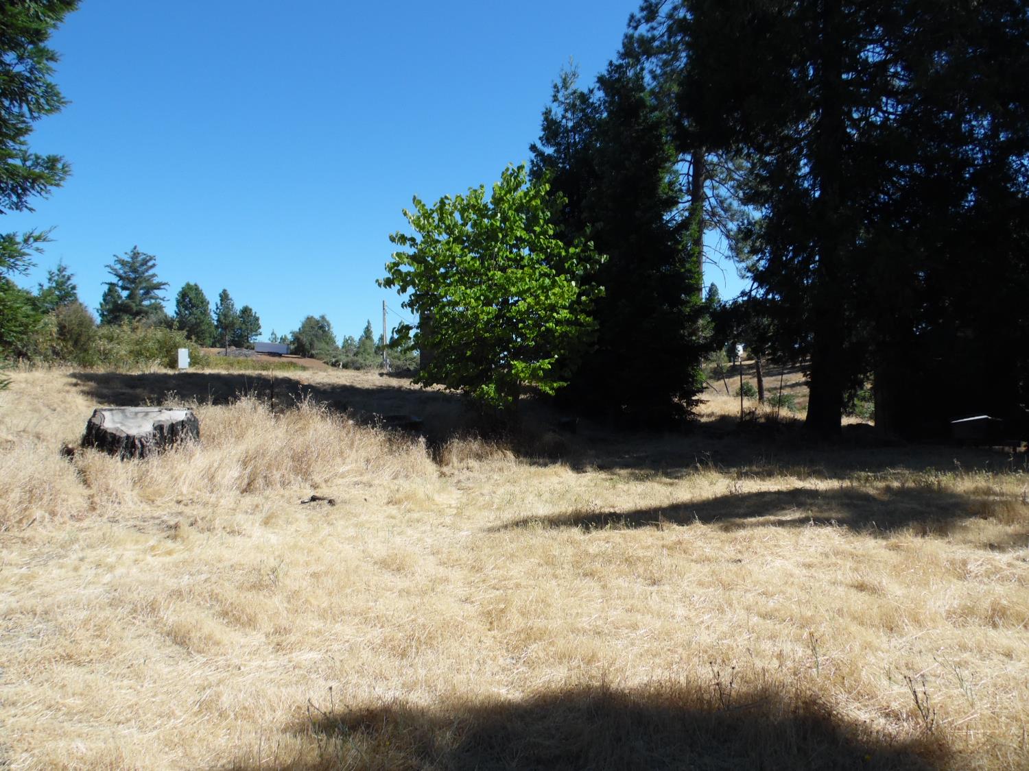 10006 Wendell Road Mountain Ranch, CA 95246 - Photo 12 of 37 a view of lake view