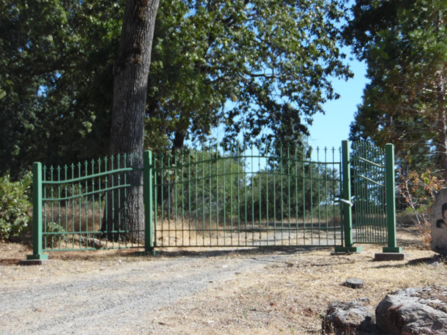 10006 Wendell Road Mountain Ranch, CA 95246 - Photo 2 of 37 a view of a wooden house with a large tree