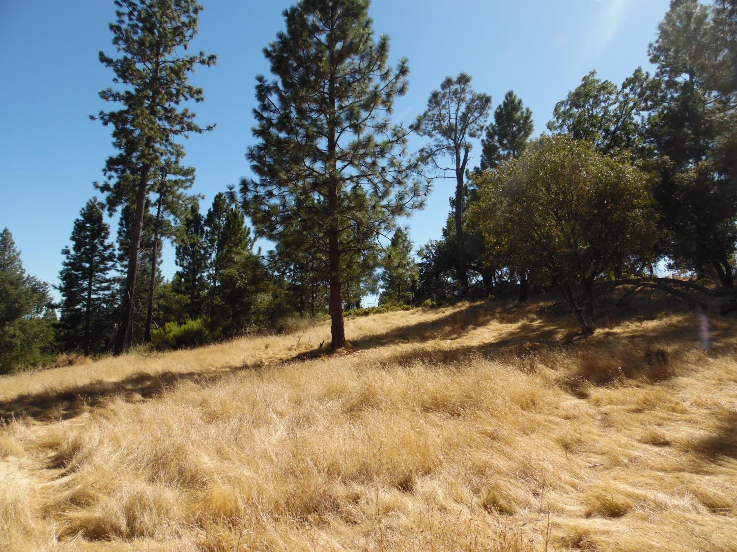 10006 Wendell Road Mountain Ranch, CA 95246 - Photo 7 of 37 a view of a yard covered with snow in front of house