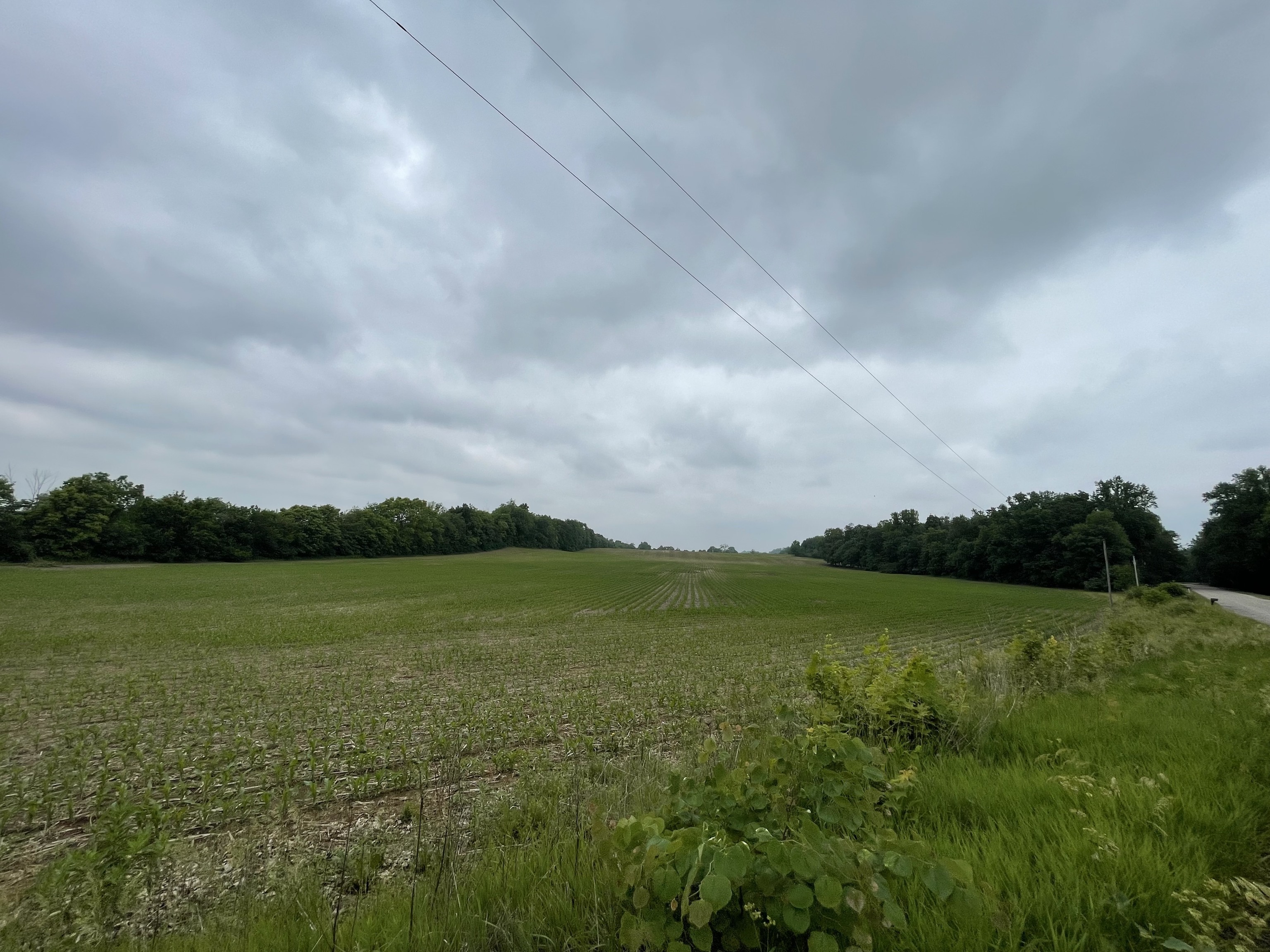 0 Prairie North Road Springport, IN 47386 - Photo 2 of 10