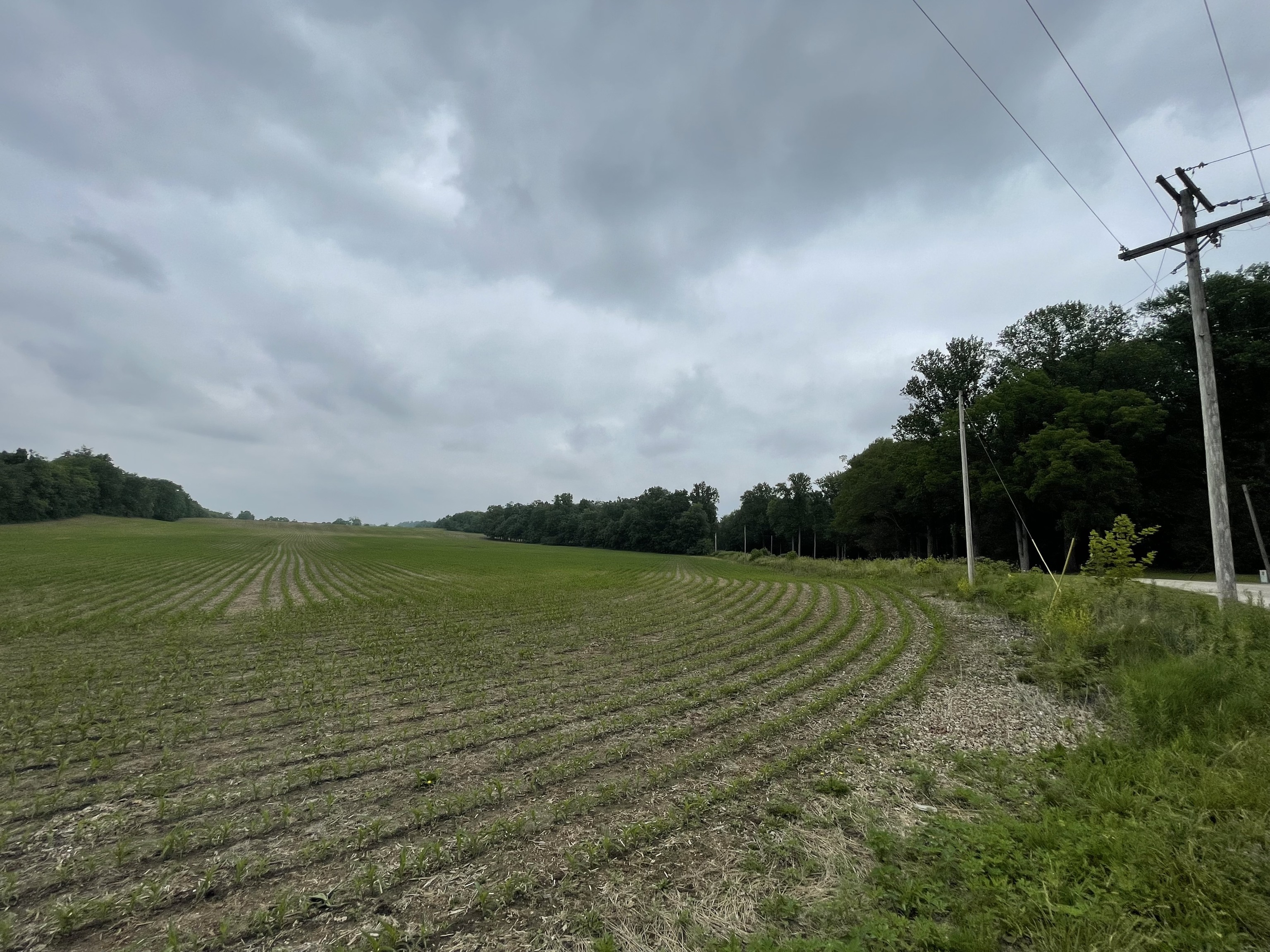 0 Prairie North Road Springport, IN 47386 - Photo 4 of 10