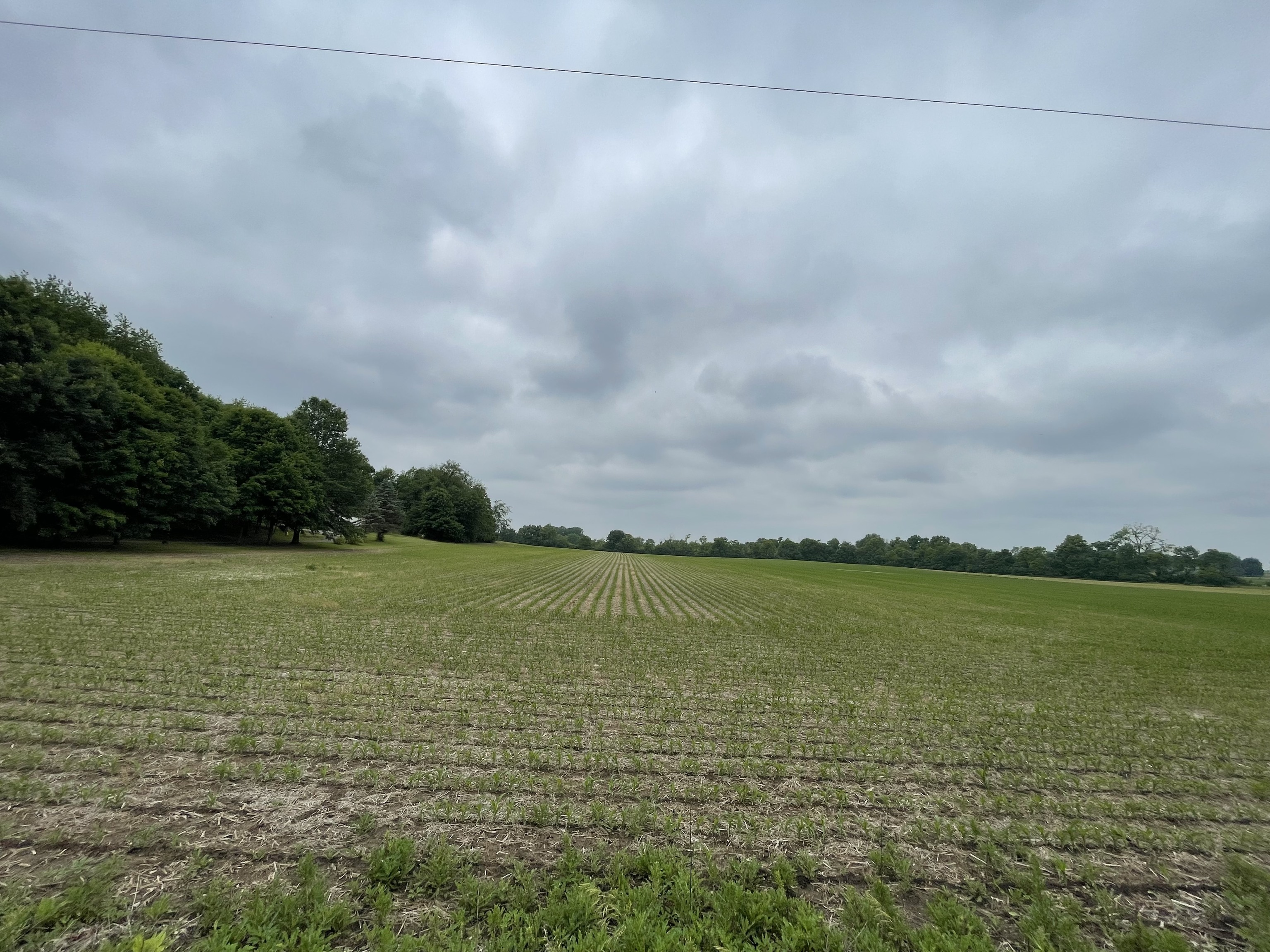 0 Prairie North Road Springport, IN 47386 - Photo 5 of 10