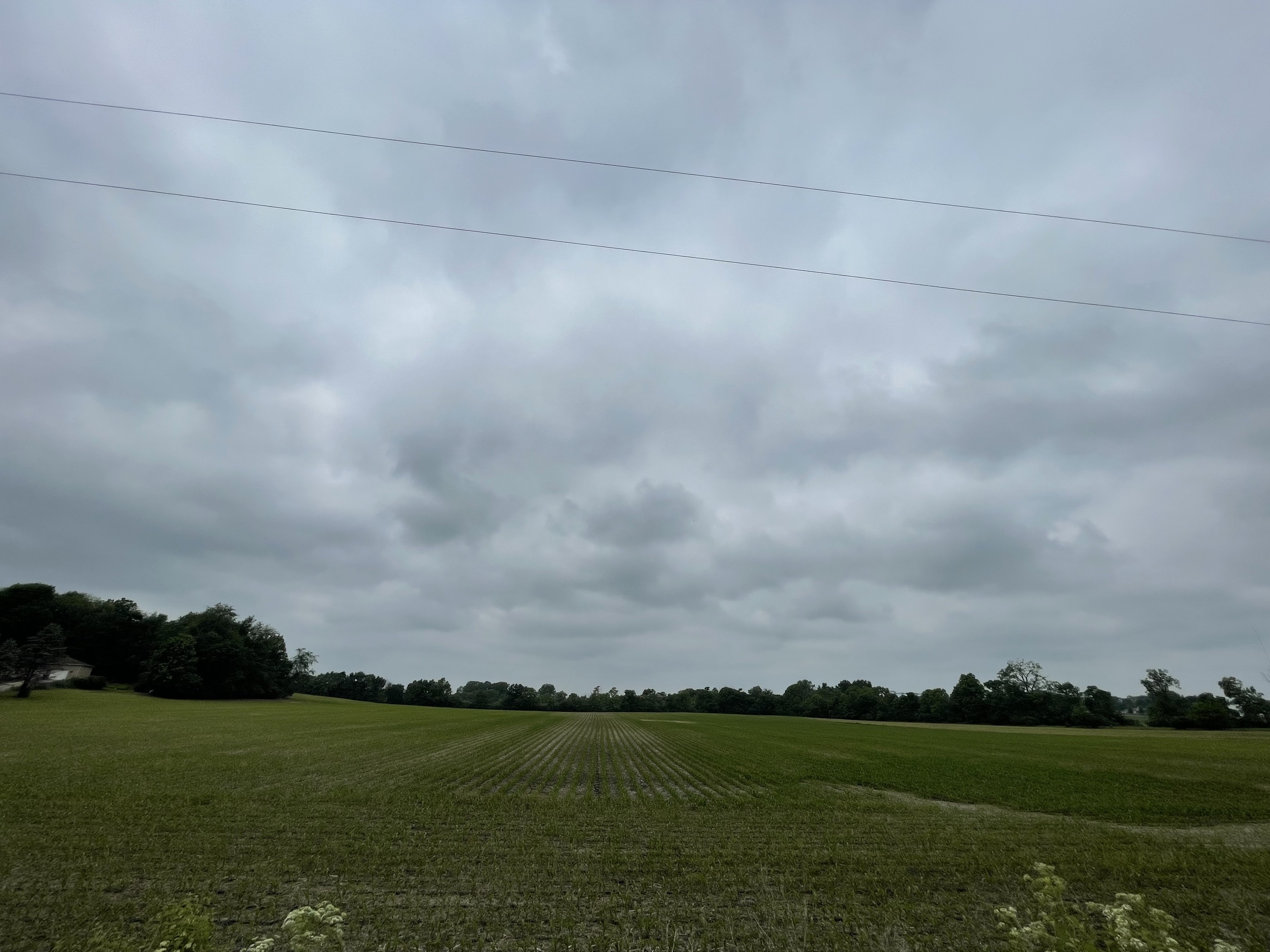 0 Prairie North Road Springport, IN 47386 - Photo 8 of 10