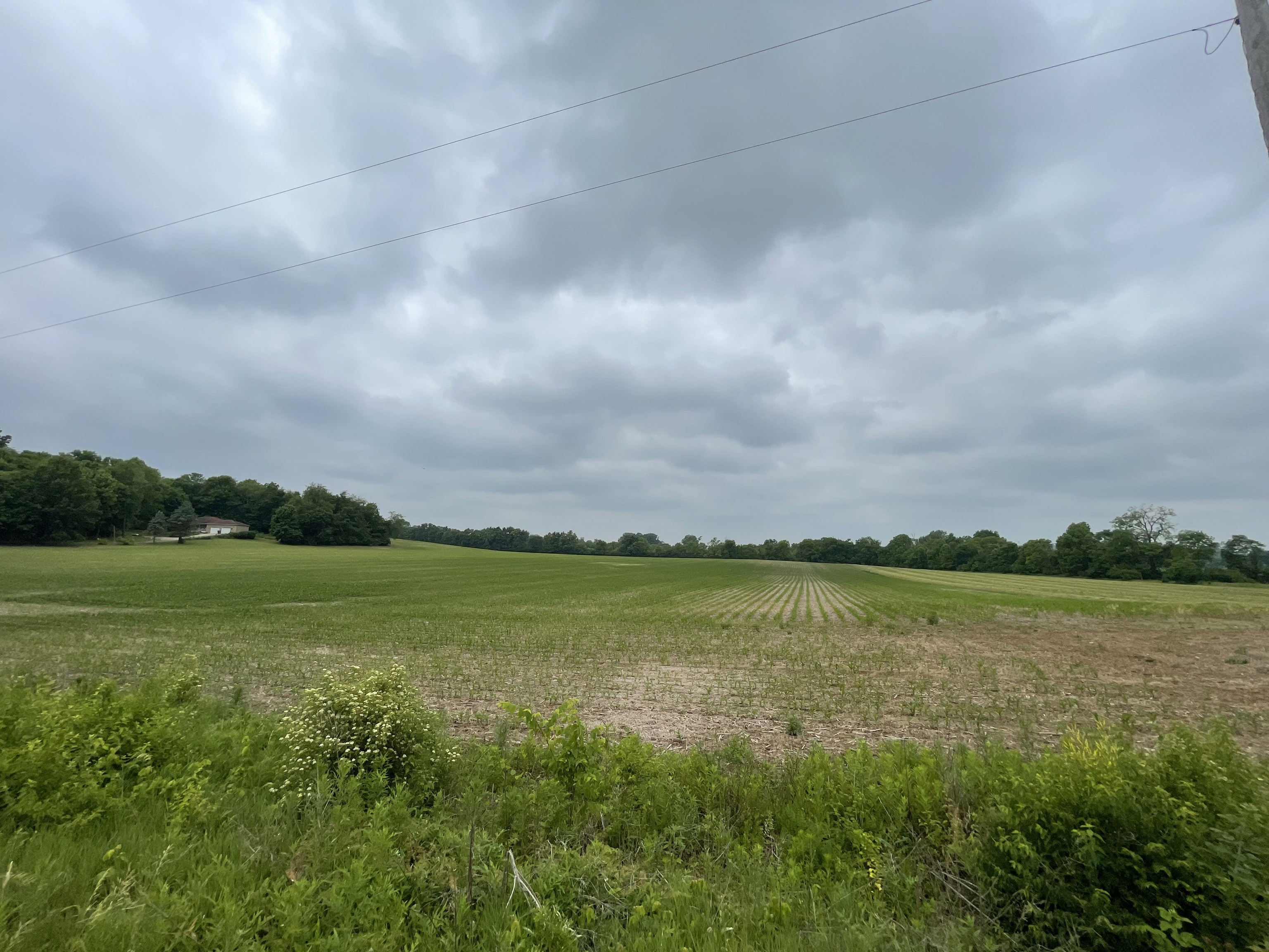 0 Prairie North Road Springport, IN 47386 - Photo 10 of 10