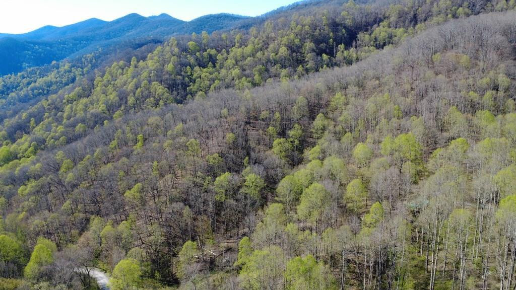 Tbd Clearview Lane Murphy, NC 28906 - Photo 2 of 29 Creek