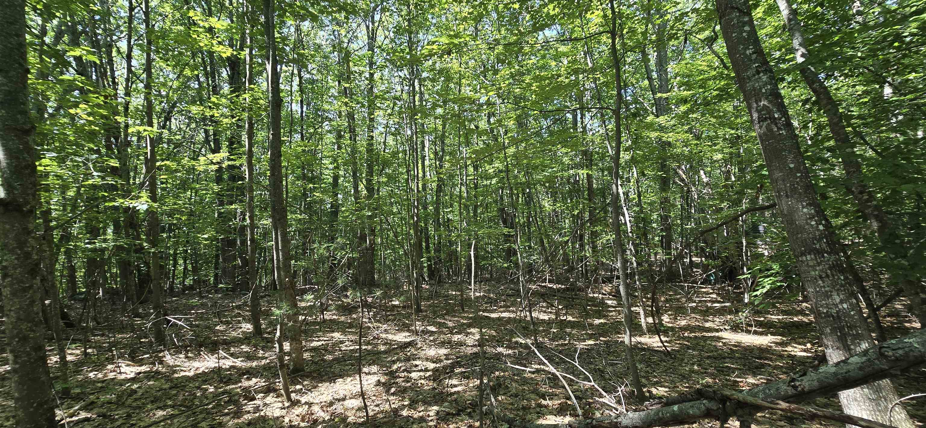 406-17 Guinea Ridge Road Gilmanton, NH 03237 - Photo 4 of 15 Gallery Image 4