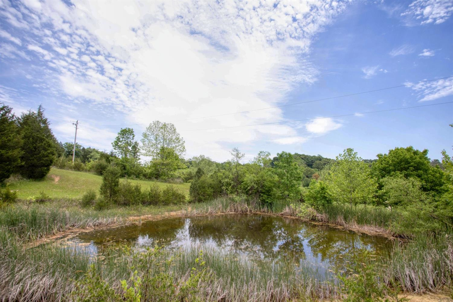 801 Vienna Road Winchester, KY 40391 - Photo 41 of 52 Photo 41