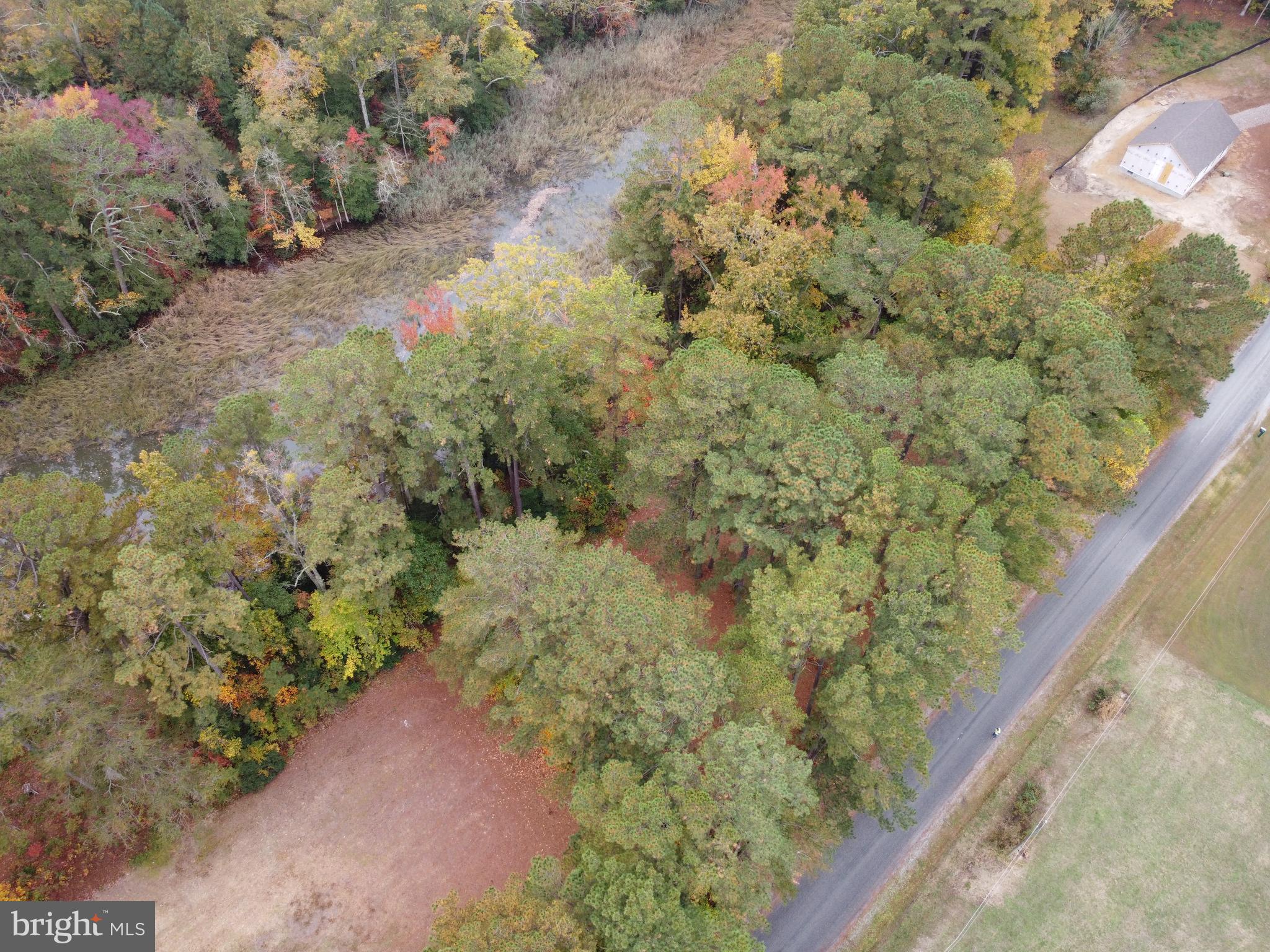Lot #30 South Glebe Road Montross, VA 22520 - Photo 4 of 13 Gallery Image 4