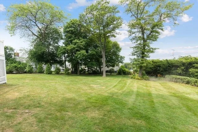 a view of a backyard