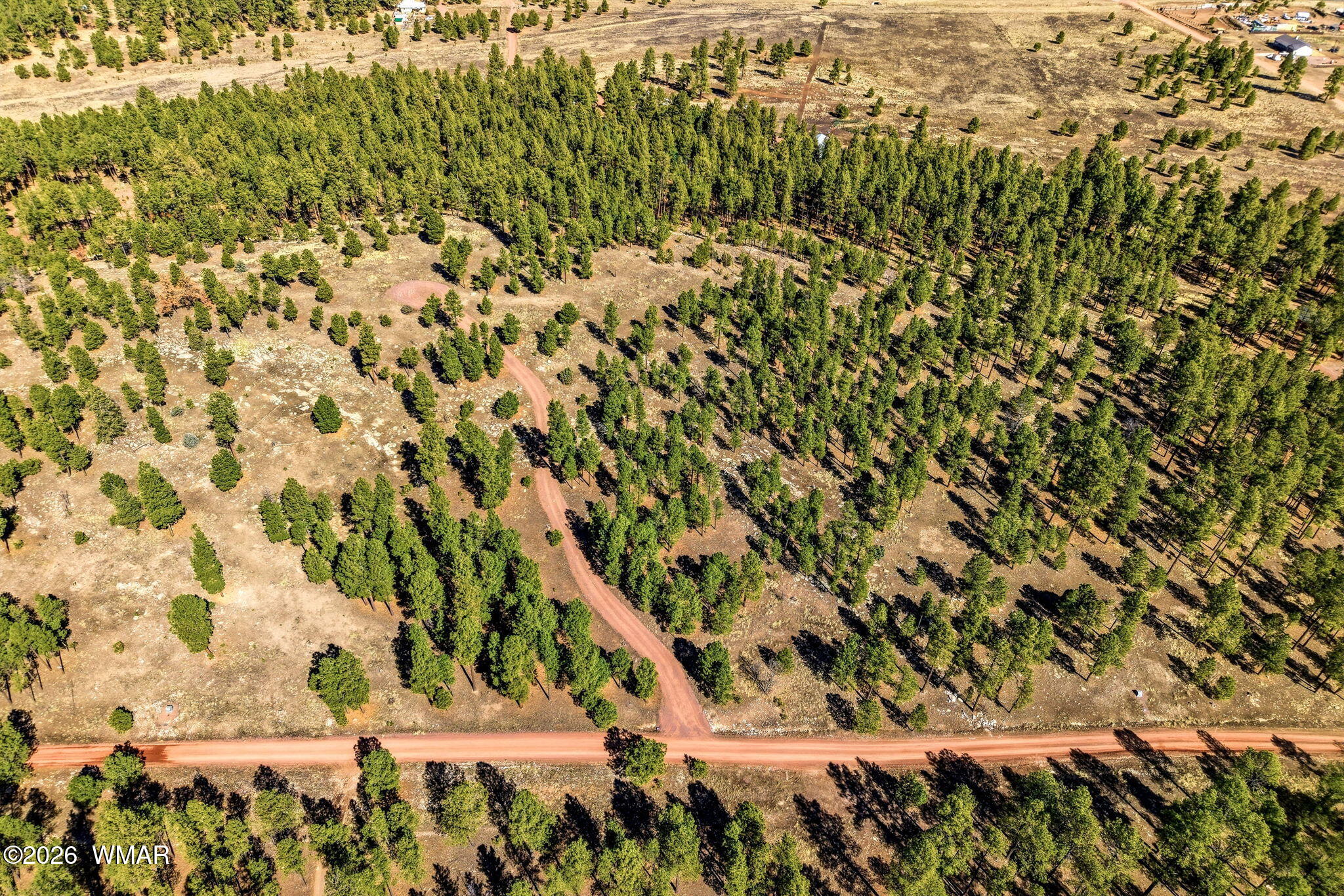 N2147 N2147 Alpine, AZ 85920 - Photo 11 of 21 a view of a area with a tree