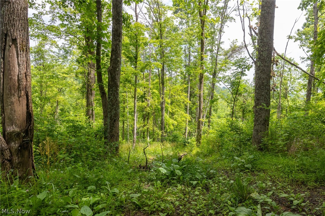 Kinnen Road Caldwell, OH 43724 - Photo 12 of 37