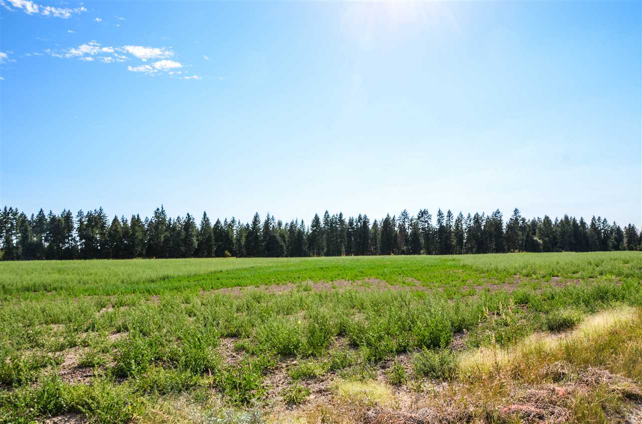 7010 East Orchard Bluff Road Chattaroy, WA 99003 - Photo 3 of 9 Gallery Image 3