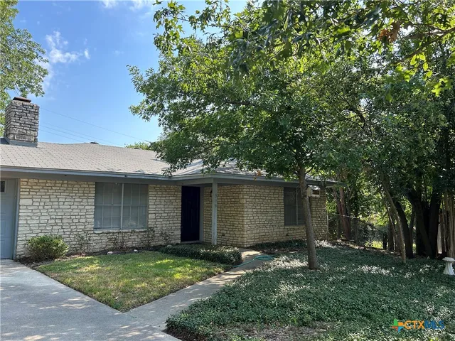 a backyard of a house with plants and large tree