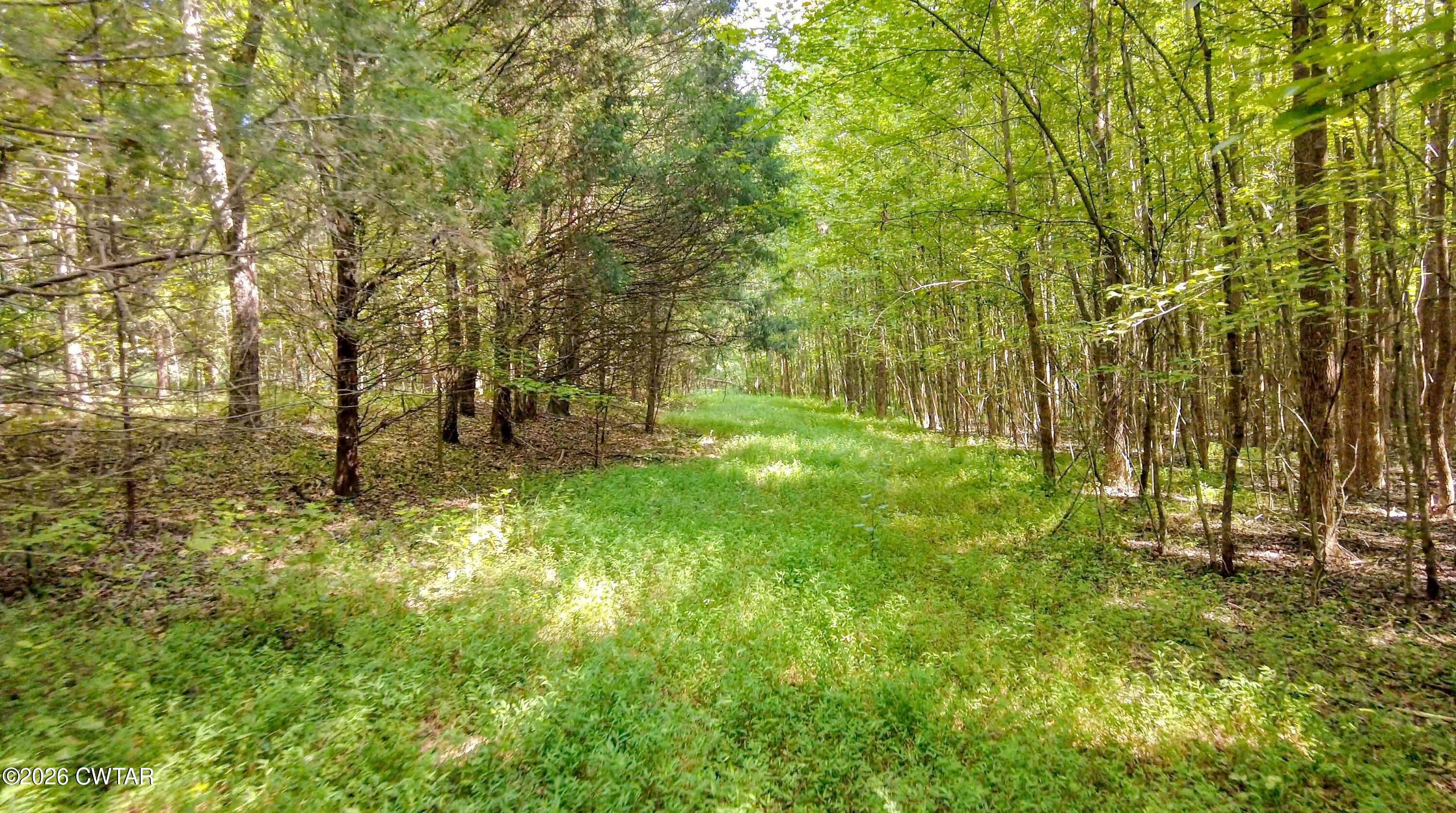 4349 Buena Vista Road Huntingdon, TN 38344 - Photo 48 of 68 Land8