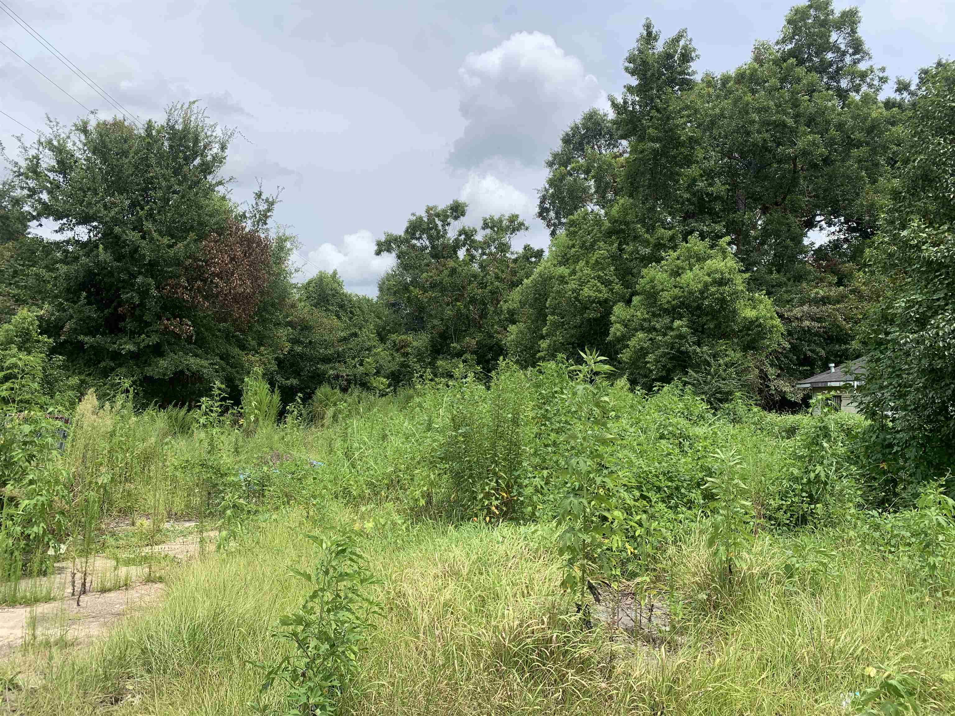 1050 Newsome Street Mobile, AL 36610 - Photo 1 of 1