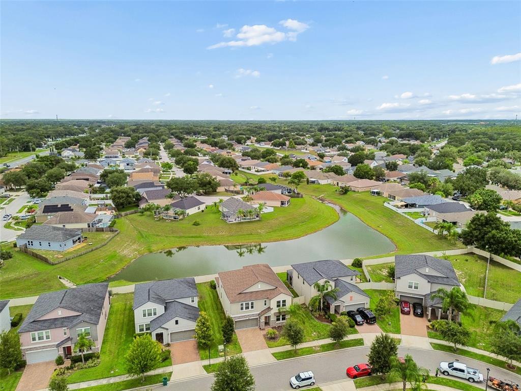 25057 Lambrusco Loop Lutz, FL 33559 - Photo 49 of 50