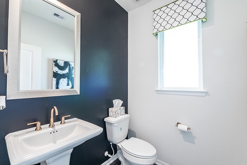 7810 Bear Trace Road Fairview, TN 37062 - Photo 12 of 20 a bathroom with a sink a mirror and a toilet