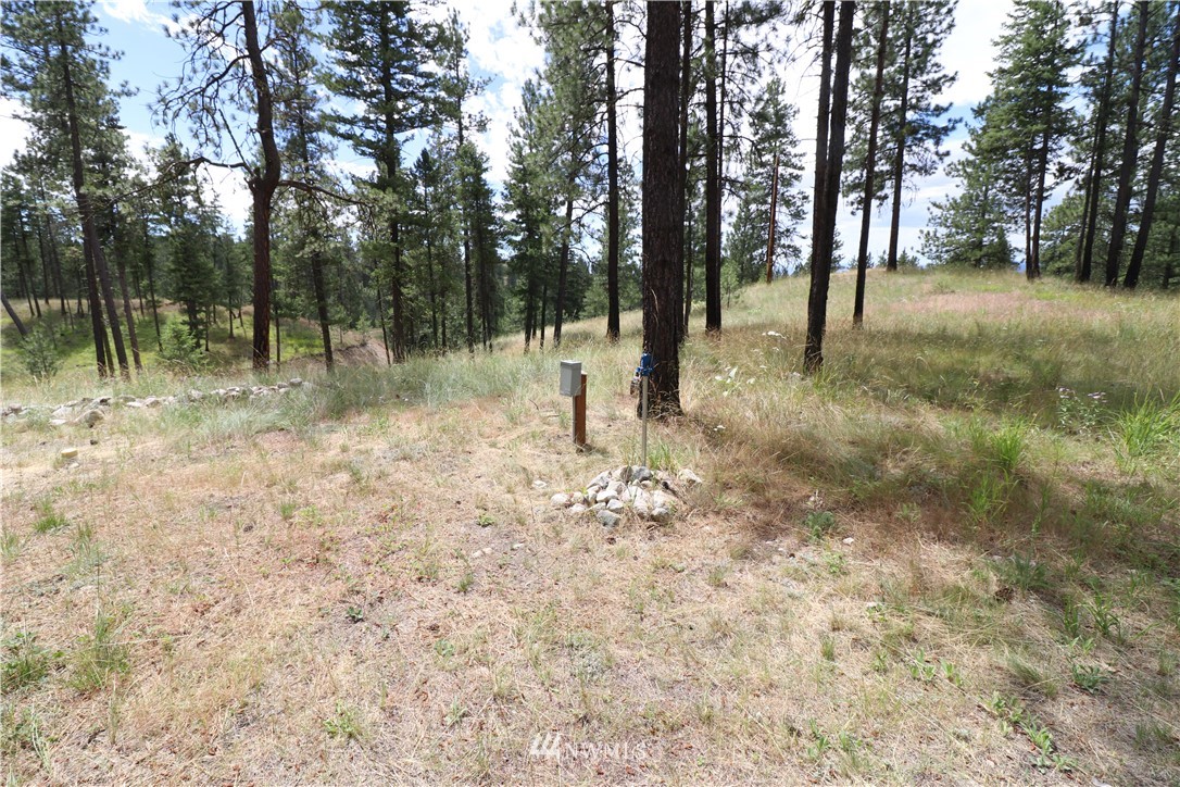 535 Swanson Mill Road Tonasket, WA 98855 - Photo 29 of 31 Gallery Image 29
