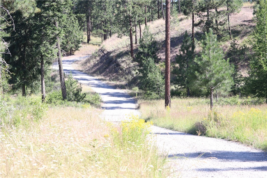 535 Swanson Mill Road Tonasket, WA 98855 - Photo 31 of 31 Gallery Image 31